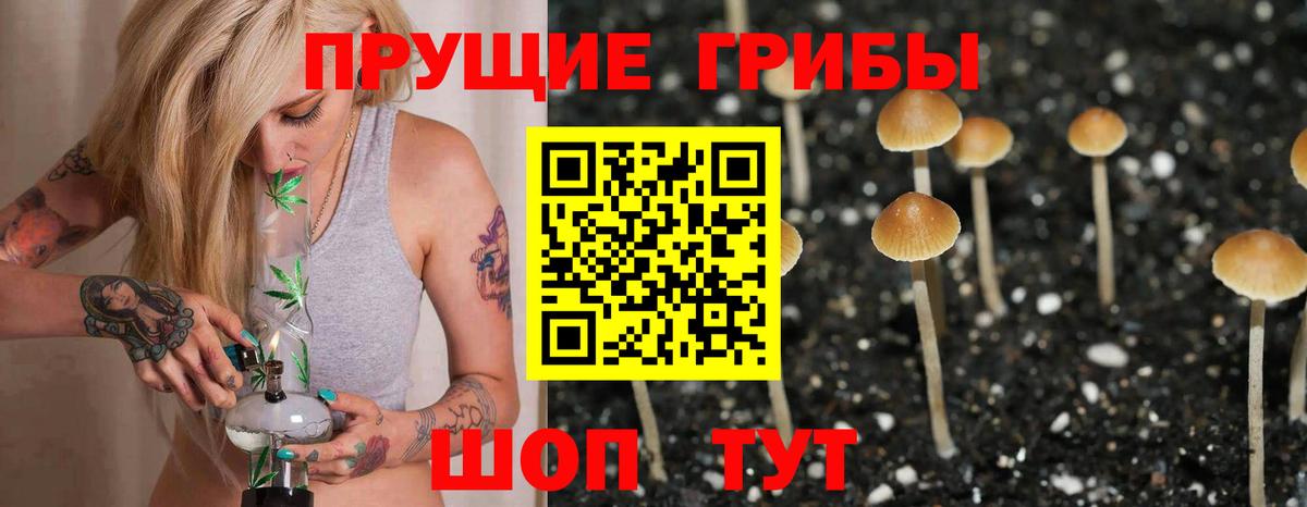 Псилоцибиновые грибы ЛСД Югорск