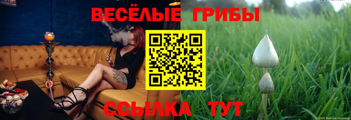 Галлюциногенные грибы мухоморы  Вход с VPN  Галлюциногенные грибы мицелий  цены наркотик  Югорск 